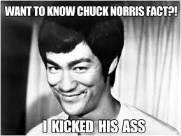 It takes a hell of a lot of technique to kick Chuck Norris A$$!